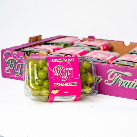 uvas-01